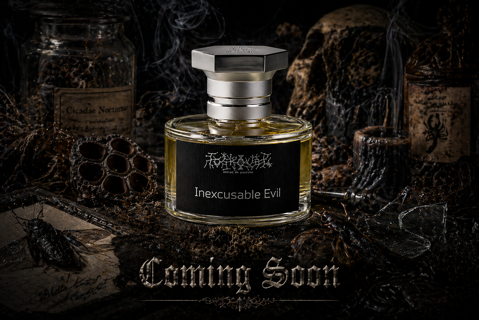 The Curiosity Cabinet — You Have Been Warned